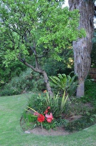 5 Bedroom Property for Sale in Edenburg Free State